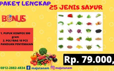 MURAH 0812-2882-4834 Grosir Paket Benih Sayuran Kacang Panjang Pakpak Bharat, Pabrik Paket 25 Jenis Benih Sayuran Salak, Murah Paket Benih Sayuran Humbang Hasundutan