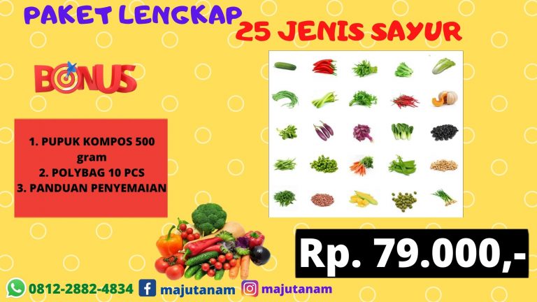 MURAH 0812-2882-4834 Grosir Paket Benih Sayuran Kacang Panjang Pakpak Bharat, Pabrik Paket 25 Jenis Benih Sayuran Salak, Murah Paket Benih Sayuran Humbang Hasundutan