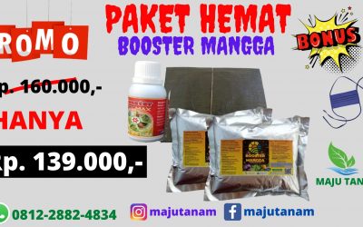 PROMO 0812-2882-4834 Paket Pupuk Mangga Dalam Pot Sumatra Selatan, Paket Pupuk Mangga Supaya Berbuah Palembang, Paket Pupuk Mangga Kiojay Banyuasin