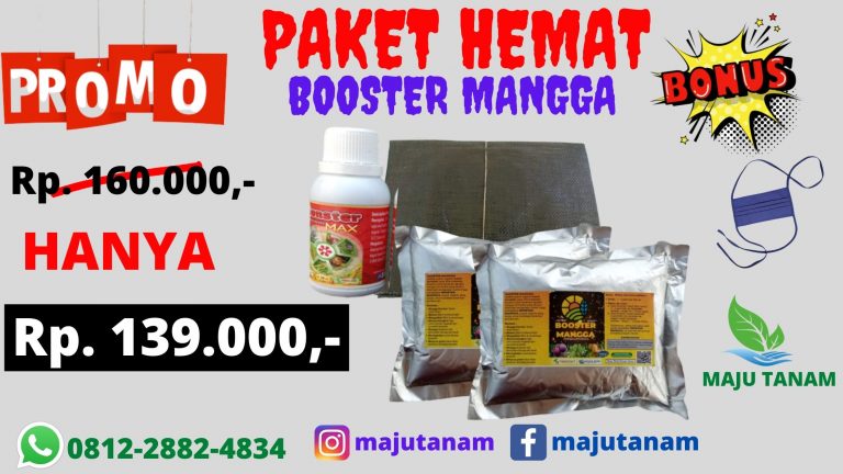 PROMO 0812-2882-4834 Paket Pupuk Mangga Dalam Pot Sumatra Selatan, Paket Pupuk Mangga Supaya Berbuah Palembang, Paket Pupuk Mangga Kiojay Banyuasin