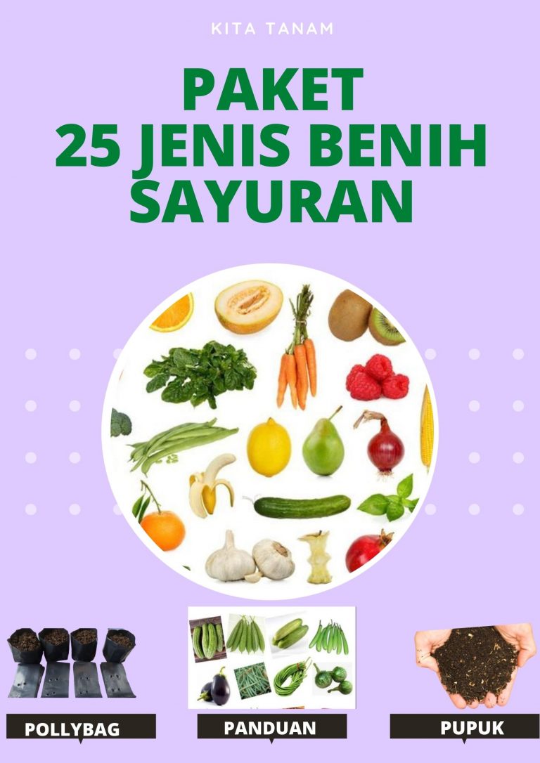 TERMURAH 0812-2882-4834 Diskon Paket Bibit Sayur Kediri, Tempat Paket Bibit Sayuran Ngasem, Toko Paket Bibit Sayuran Hidroponik Lamongan