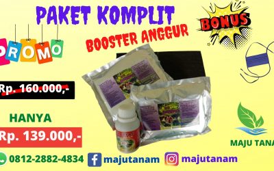 FREE SHIPPING 0812-2882-4834 Paket Pupuk Anggur Biar Subur Demak, Paket Pupuk Anggur Cepat Berbuah Purwodadi, Paket Pupuk Anggur Brazil Jepara