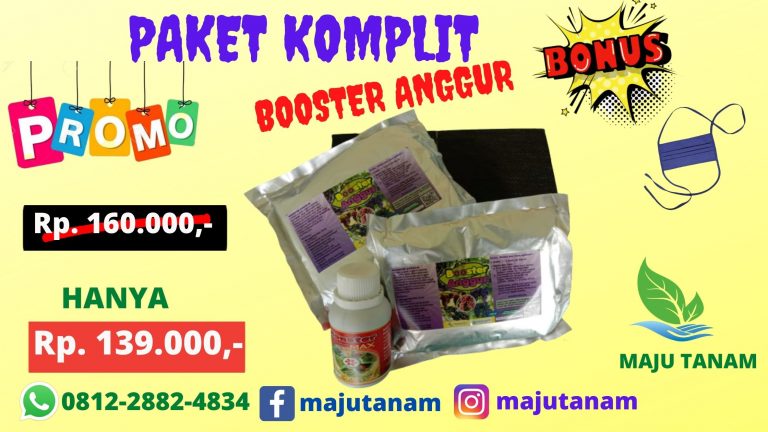 FREE SHIPPING 0812-2882-4834 Paket Pupuk Anggur Biar Subur Demak, Paket Pupuk Anggur Cepat Berbuah Purwodadi, Paket Pupuk Anggur Brazil Jepara