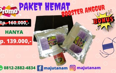 BIG SALE 0812-2882-4834 Paket Pupuk Anggur Biar Subur Jawa Tengah, Paket Pupuk Anggur Cepat Berbuah Semarang, Paket Pupuk Anggur Brazil Bnjarnegara