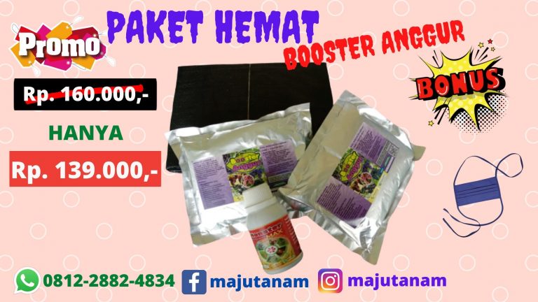 BIG SALE 0812-2882-4834 Paket Pupuk Anggur Biar Subur Jawa Tengah, Paket Pupuk Anggur Cepat Berbuah Semarang, Paket Pupuk Anggur Brazil Bnjarnegara