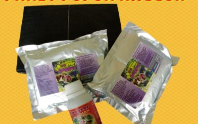 GROSIR 0812-2882-4834 Paket Pupuk Booster Untuk Buah Anggur Kota Surabaya, Paket Pupuk Pertumbuhan Anggur Kota Probolinggo, Paket Organik Padat Khusus Anggur Kota Pasuruan