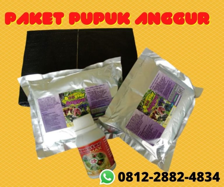 GROSIR 0812-2882-4834 Paket Pupuk Booster Untuk Buah Anggur Kota Surabaya, Paket Pupuk Pertumbuhan Anggur Kota Probolinggo, Paket Organik Padat Khusus Anggur Kota Pasuruan