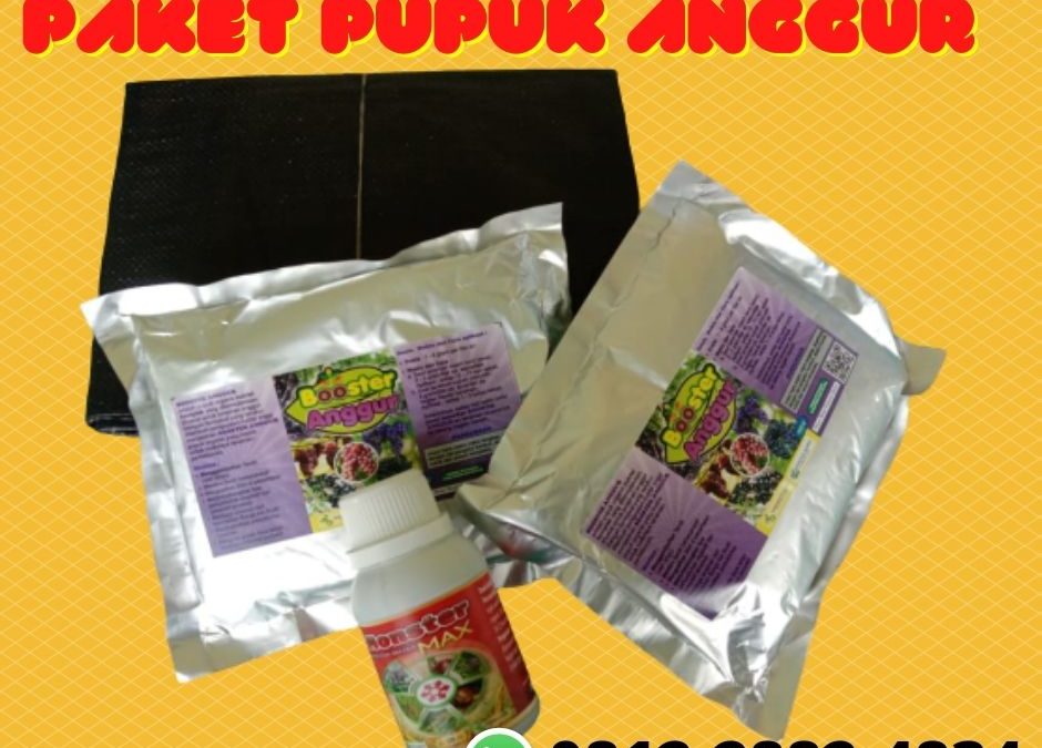 GROSIR 0812-2882-4834 Paket Pupuk Booster Untuk Buah Anggur Kota Surabaya, Paket Pupuk Pertumbuhan Anggur Kota Probolinggo, Paket Organik Padat Khusus Anggur Kota Pasuruan