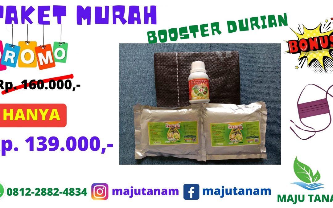 DISKON 0812-2882-4834 Paket Pupuk Durian Riau, Paket Pupuk Durian Agar Cepat Berbuah Pekan Riau, Paket Durian Montong Kampar