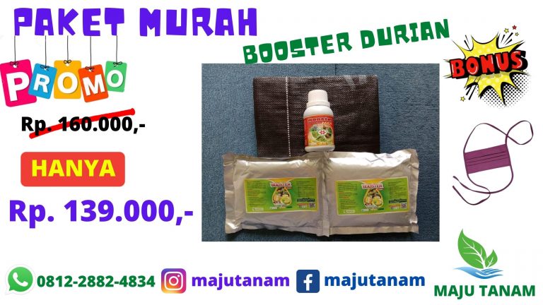DISKON 0812-2882-4834 Paket Pupuk Durian Riau, Paket Pupuk Durian Agar Cepat Berbuah Pekan Riau, Paket Durian Montong Kampar