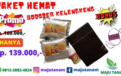 PROMO 0812-2882-4834 Paket Pupuk Kelengkeng Jawa Timur, Paket Pupuk Kelengkeng Merah Surabaya, Paket Pupuk Kelengkeng New Kristal Bangkalan