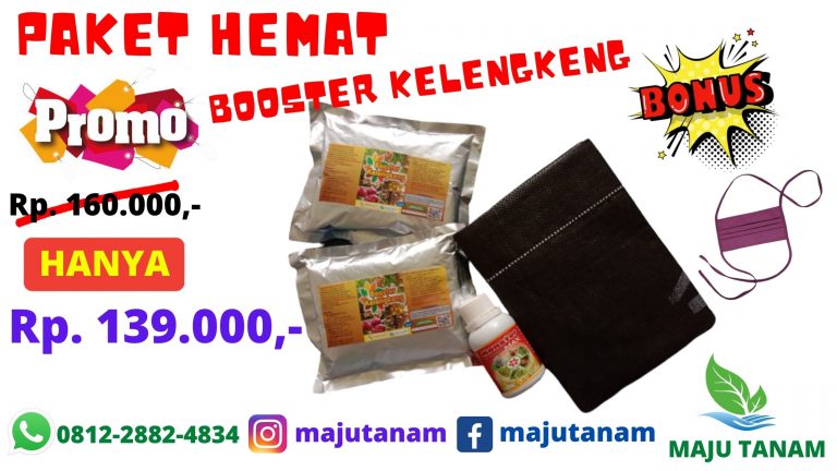 PROMO 0812-2882-4834 Paket Pupuk Kelengkeng Jawa Timur, Paket Pupuk Kelengkeng Merah Surabaya, Paket Pupuk Kelengkeng New Kristal Bangkalan