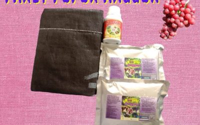 MURAH 0812-2882-4834 Paket Pupuk Organik Padat Jawa Barat, Paket Pupuk Booster Untuk Buah Anggur Bandung, Paket Pupuk Pertumbuhan Anggur Soerang