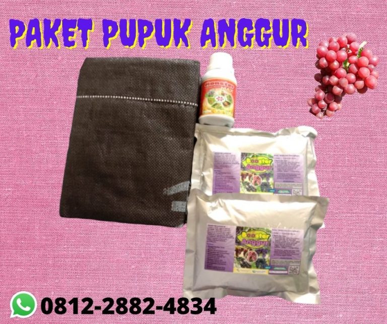 MURAH 0812-2882-4834 Paket Pupuk Organik Padat Jawa Barat, Paket Pupuk Booster Untuk Buah Anggur Bandung, Paket Pupuk Pertumbuhan Anggur Soerang
