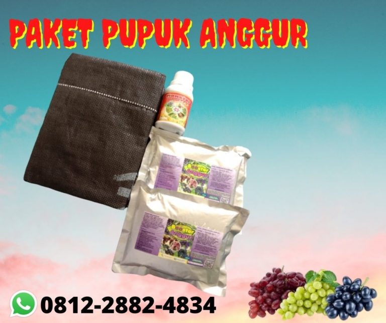 BEST SELLER 0812-2882-4834 Paket Pupuk Organik Padat Parigi, Paket Pupuk Booster Untuk Buah Anggur Purwakarta, Paket Pupuk Pertumbuhan Anggur Subang