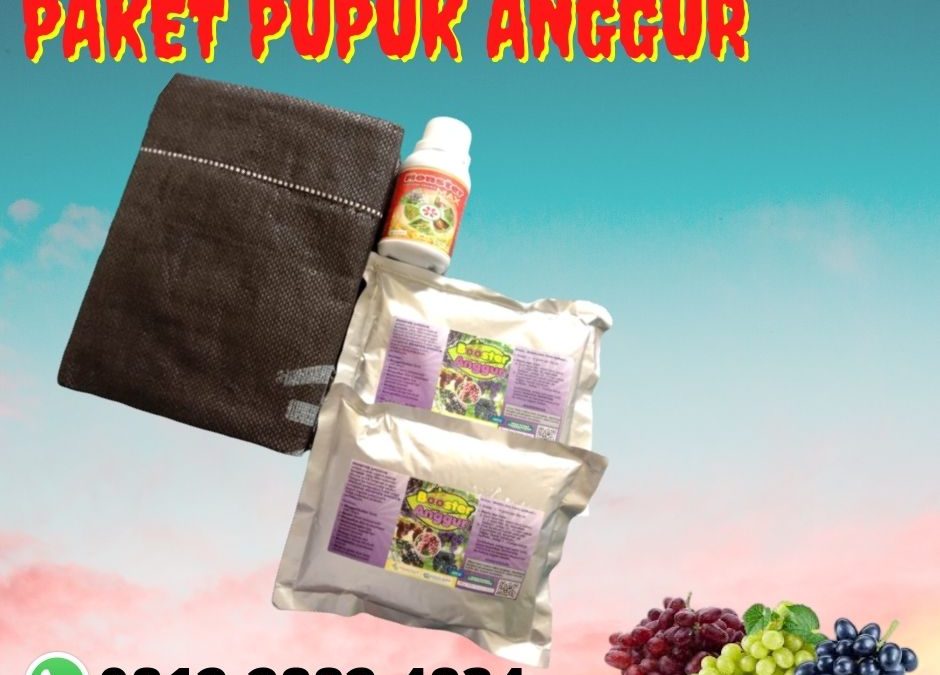 BEST SELLER 0812-2882-4834 Paket Pupuk Organik Padat Parigi, Paket Pupuk Booster Untuk Buah Anggur Purwakarta, Paket Pupuk Pertumbuhan Anggur Subang