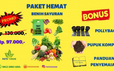 TERPERCAYA 0812-2882-4834 Produsen Paket Benih Sayuran Snerek Ngawi, Grosir Paket Benih Sayuran Kacang Panjang Pacitan, Pabrik Paket 13 Jenis Benih Sayuran Pamekasan