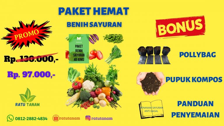 TERPERCAYA 0812-2882-4834 Produsen Paket Benih Sayuran Snerek Ngawi, Grosir Paket Benih Sayuran Kacang Panjang Pacitan, Pabrik Paket 13 Jenis Benih Sayuran Pamekasan