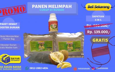 GROSIR 0812-2882-4834 Promo Paket Pupuk Durian Buah Lebat Kota Tegal, Jual Paket Pupuk Durian Hasil Cepat Kota Surakarta, Jual Paket Pupuk Durian Kota Semarang