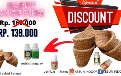 KESALAHAN DALAM BUDIDAYA ANGGREK DAN CARA MENGATASINYA