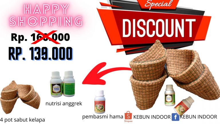 KESALAHAN DALAM BUDIDAYA ANGGREK DAN CARA MENGATASINYA