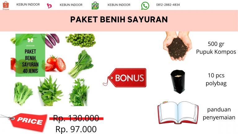 TERBAIK 0812-2882-4834 Harga Paket Benih Bunga Jawa Timur, Produsen Paket Benih Sayuran Surabaya, Grosir Paket Benih Tanaman Bangkalan