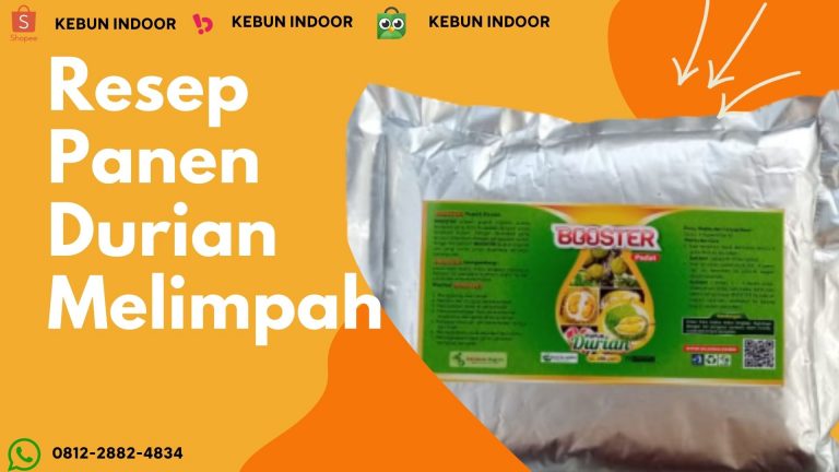DISTRIBUTOR PUPUK BOOSTER DURIAN TERBAIK Pekan Baru, NUTRISI BUAH DURIAN Kampar, BOOSTER DURIAN Bangkinang