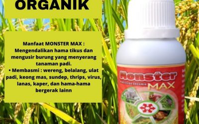 TERBATAS 0812-2882-4834 Agen Pestisida Organik Yang Ampuh Pontianak, Distributor Pestisida Alami Organik Sambas, Harga Pestisida Organik Belalang Ketapang