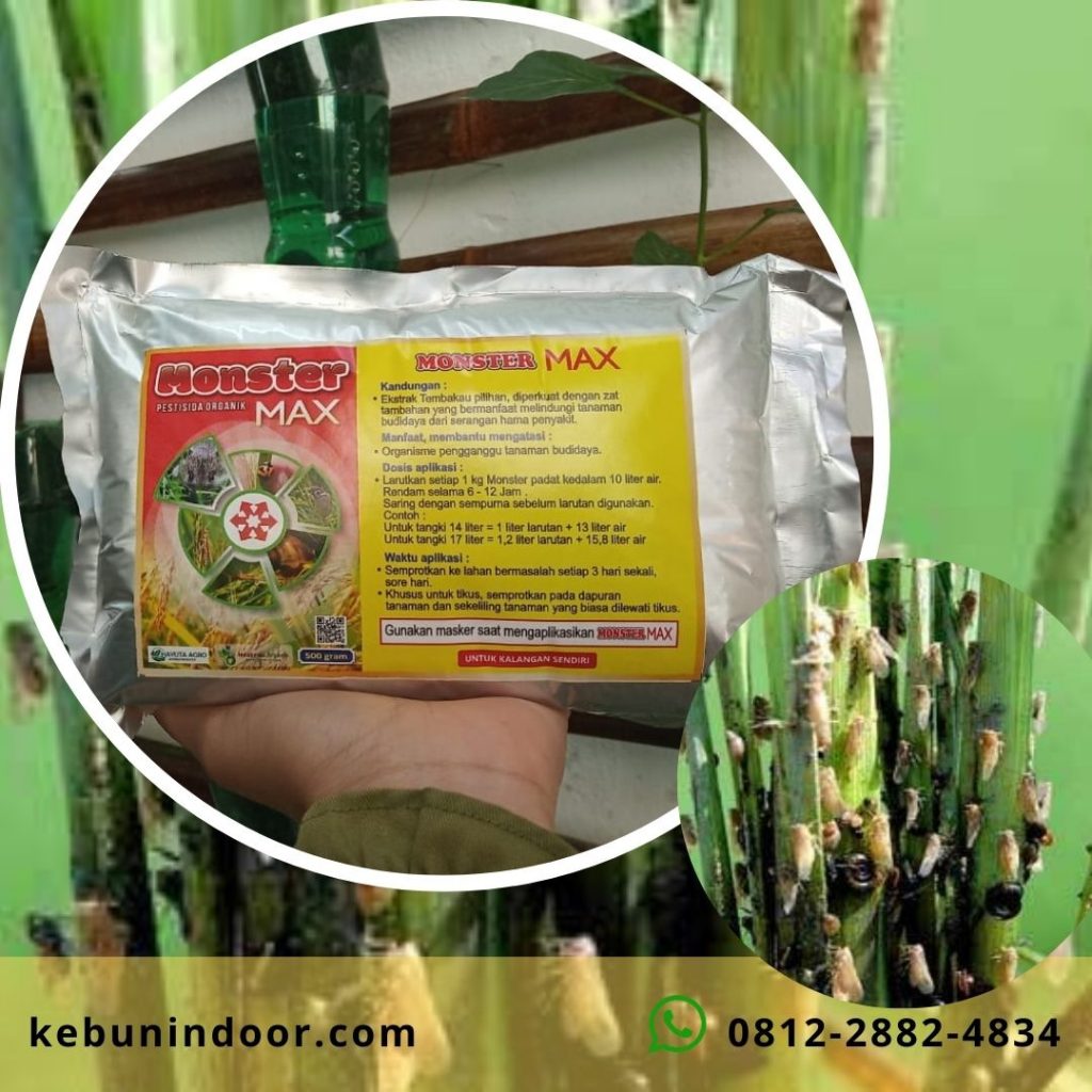 Agen Pestisida Organik Kalabahi, Produsen Pestisida Organik Untuk Cabe Atambua, Grosir Pestisida Organik Winarti Ende, Pabrik Pestisida Organik Untuk Hidroponik Larantuka, Pestisida Organik
