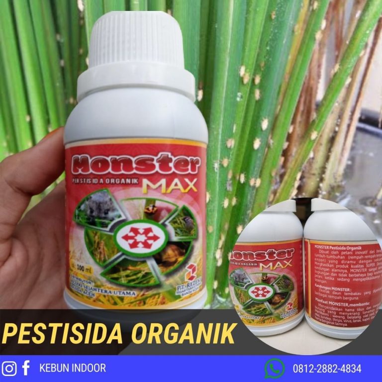AMANAH 0812-2882-4834 Agen Pestisida Organik Kalabahi, Produsen Pestisida Organik Untuk Cabe Atambua, Grosir Pestisida Organik Winarti Ende