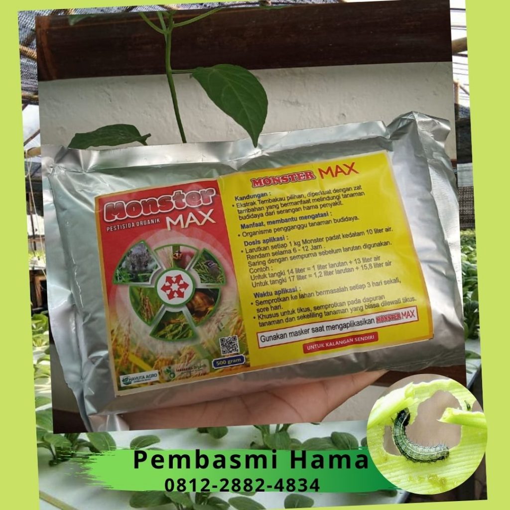 Pestisida Organik Pembasmi Hama Tanaman Lampung Selatan, Pestisida Organik Untuk Padi Kalianda, Pestisida Organik Untuk Ulat Daun Lampung Tengah, Pestisida Organik Untuk Ulat Grayak Gunung Sugih