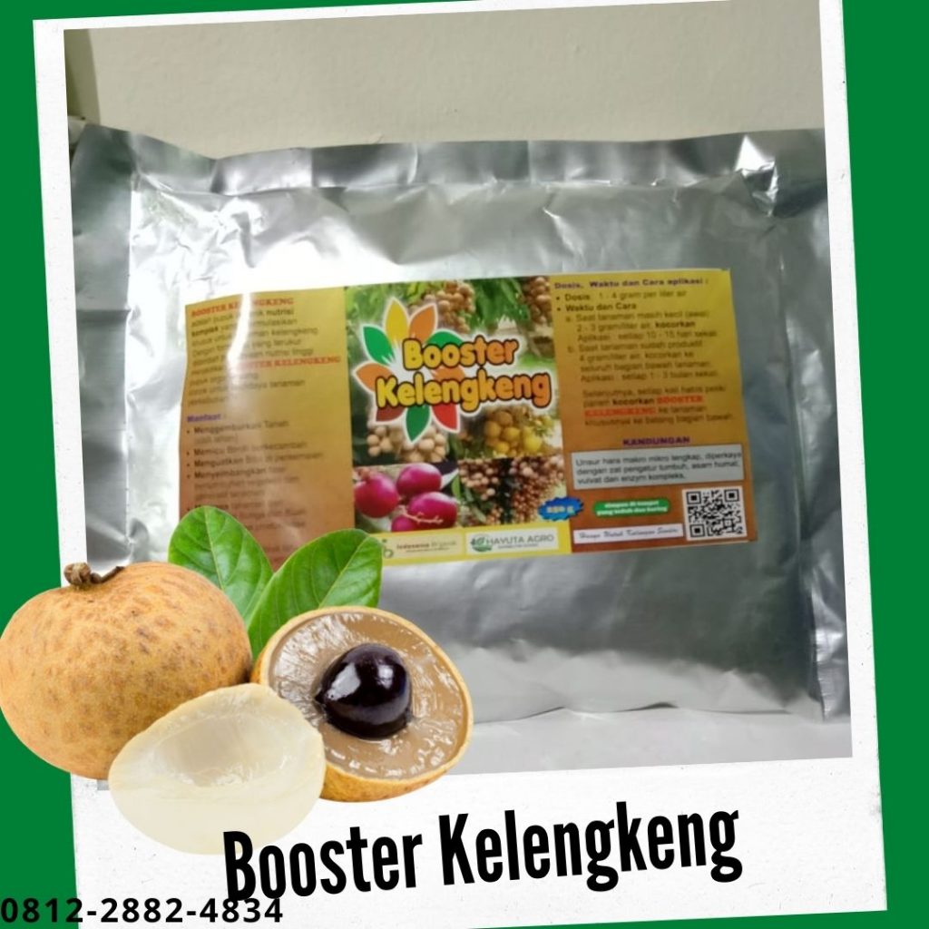 Promo Pupuk Buah Kelengkeng Agar Cepat Berbuah Jakarta