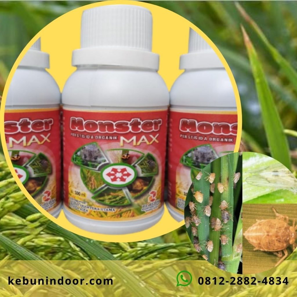 Toko Pestisida Organik di Kalabahi, Subur Pestisida Organik Untuk Cabe Kota Atambua, Aman Pestisida Organik Winarti Di Ende, Grosir Pestisida Organik Untuk Hidroponik Larantuka