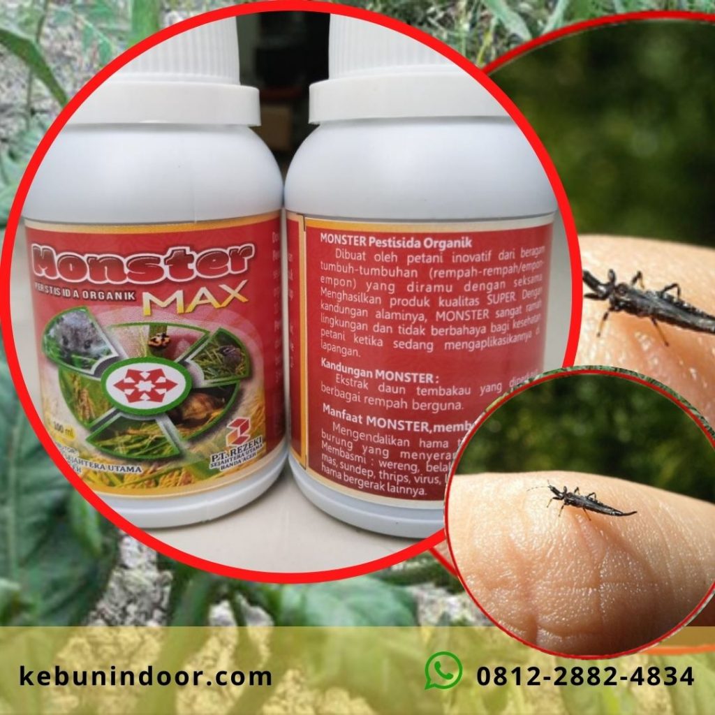 Toko Pestisida Organik di Kalabahi, Subur Pestisida Organik Untuk Cabe Kota Atambua, Aman Pestisida Organik Winarti Di Ende, Grosir Pestisida Organik Untuk Hidroponik Larantuka