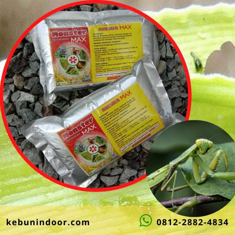 TELP 0812-2882-4834 Toko Pestisida Organik di Kalabahi, Subur Pestisida Organik Untuk Cabe Kota Atambua, Aman Pestisida Organik Winarti Di Ende