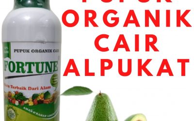 HARGA KHUSUS! CALL! 0812-2882-4834 GROSIR Pupuk Alpukat Agar Tidak Rontok Cilacap, HARGA Pupuk Alpukat Cepat Besar Banyumas, Pupuk Alpukat Biar Cepat Berbuah Kota Semarang
