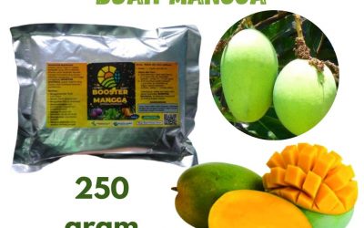 BIG SALE, 0812-2882-4834, Pusat Pupuk Pembesar Buah Mangga Pekan Baru, Toko Booster Mangga Kampar, Harga Booster Untuk Mangga Bangkinang