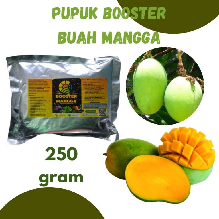 BIG SALE, 0812-2882-4834, Pusat Pupuk Pembesar Buah Mangga Pekan Baru, Toko Booster Mangga Kampar, Harga Booster Untuk Mangga Bangkinang