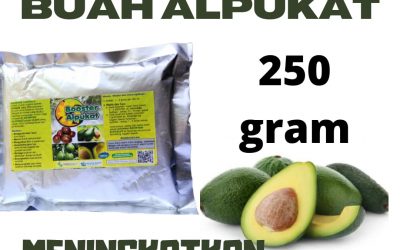 DISKON, 0812-2882-4834, Agen Pupuk Terbaik Untuk Alpukat Jakarta, Distributor Booster Buah Alpukat Jakarta Kota, Pusat Booster Pohon Alpukat Jakarta Pusat