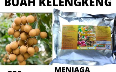 DISKON, 0812-2882-4834, Agen Pupuk Untuk Kelengkeng, Pusat Booster Kelengkeng Terbaik Surabaya, Toko Booster Kelengkeng New Kristal Bangkalan