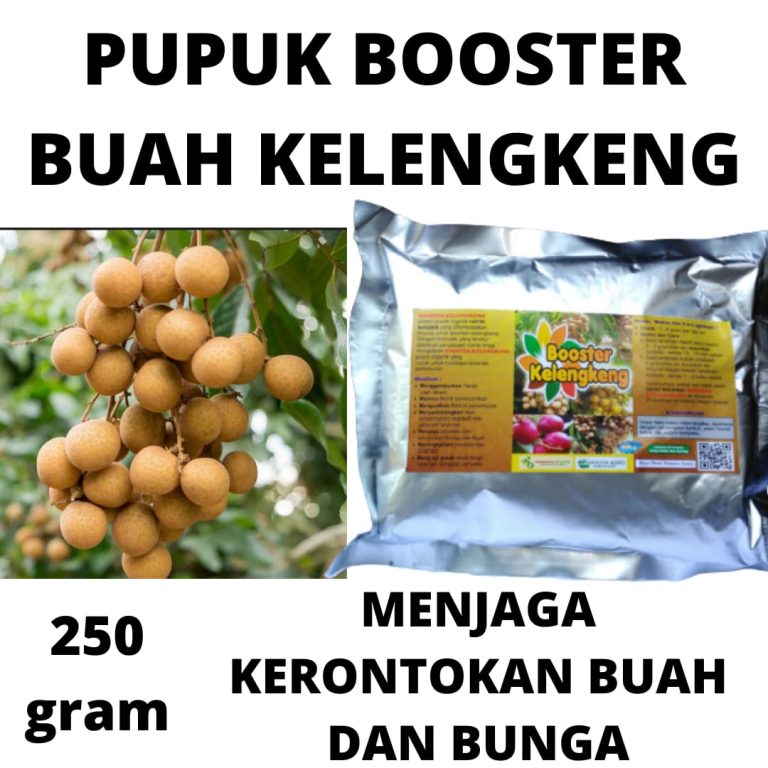 DISKON, 0812-2882-4834, Agen Pupuk Untuk Kelengkeng, Pusat Booster Kelengkeng Terbaik Surabaya, Toko Booster Kelengkeng New Kristal Bangkalan