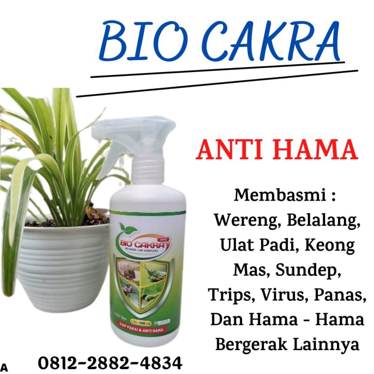 BIG SALE, 0812-2882-4834, Jual Pestisida Pembasmi Hama Kutu Putih Purwodadi, Agen Pestisida Pembasmi Hama Trips Jepara, Harga Pestisida Pembasmi Hama Ulat Daun Karanganyar