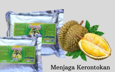 WA, 0812-2882-4834, Distributor Pupuk Durian Agar Cepat Berbunga Banda Aceh, Pusat Pupuk Durian Agar Tidak Rontok Aceh Barat, Toko Pupuk Durian Agar Cepat Besar Meulaboh