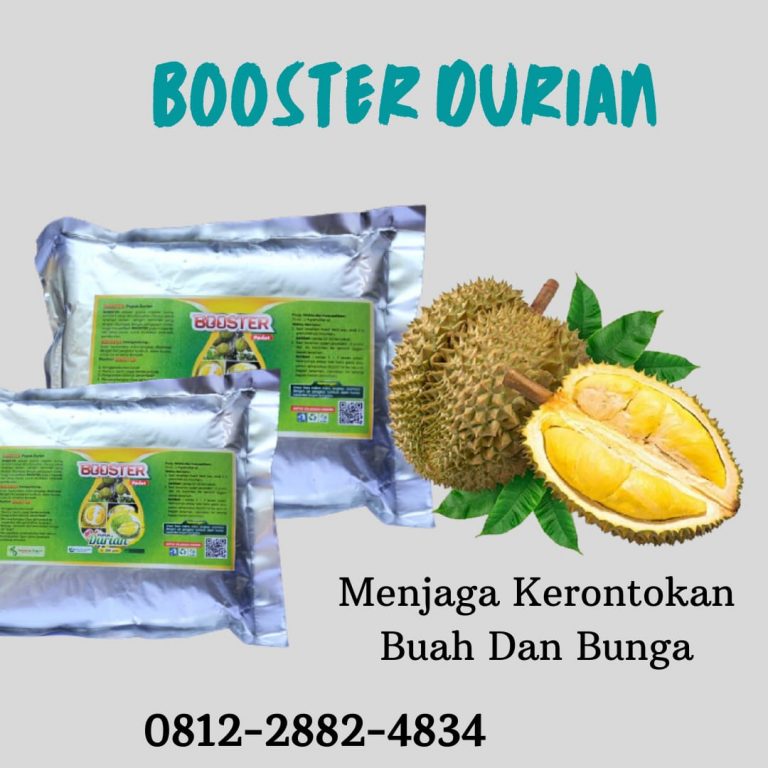 WA, 0812-2882-4834, Distributor Pupuk Durian Agar Cepat Berbunga Banda Aceh,  Pusat Pupuk Durian Agar Tidak Rontok Aceh Barat, Toko Pupuk Durian Agar Cepat Besar Meulaboh