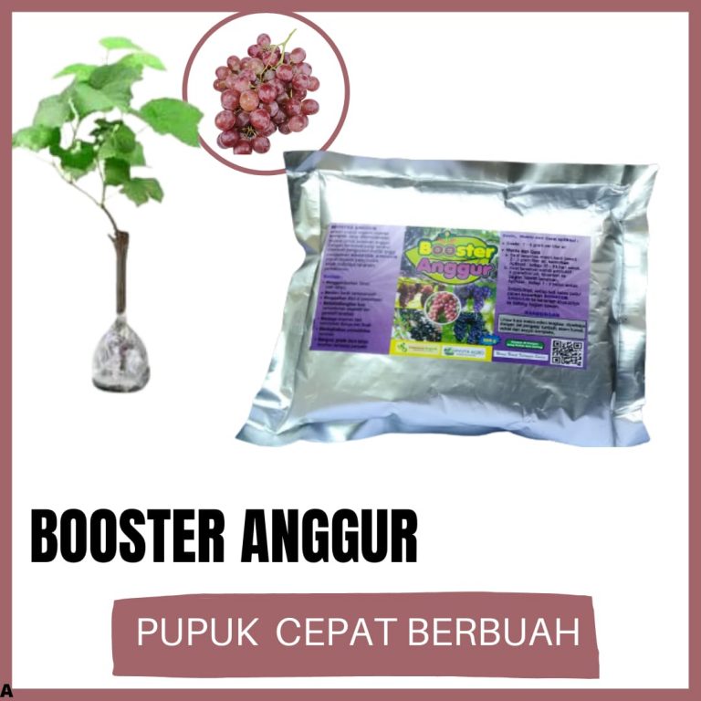 DISKON, 0812-2882-4834, Jual Booster Buah Anggur, Agen Pupuk Anggur Cepat Berbuah Semarang, Distributor Pupuk Anggur Saat Berbunga Banjarnegara,