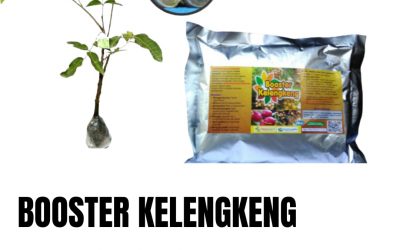 MURAH, 0812-2882-4834, Pabrik Booster Kelengkeng Alami Surabaya, Jual Booster Buah Kelengkeng Bangkalan, Agen Booster Kelengkeng Yang Bagus Banyuwangi