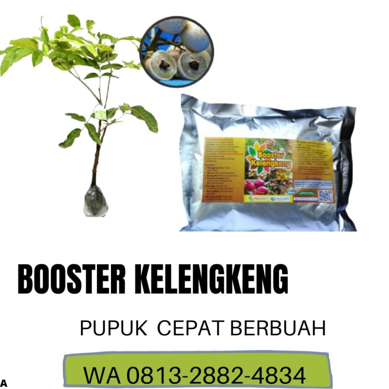MURAH, 0812-2882-4834, Pabrik Booster Kelengkeng Alami Surabaya, Jual Booster Buah Kelengkeng Bangkalan, Agen Booster Kelengkeng Yang Bagus Banyuwangi