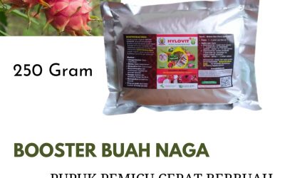 TERMURAH, 0812-2882-4834, Pabrik Pupuk Buah Naga Yang Baik Surabaya, Jual Pupuk Buah Naga Agar Cepat Berbuah Bangkalan, Agen Pupuk Buah Naga Agar Berbuah Lebat Banyuwangi