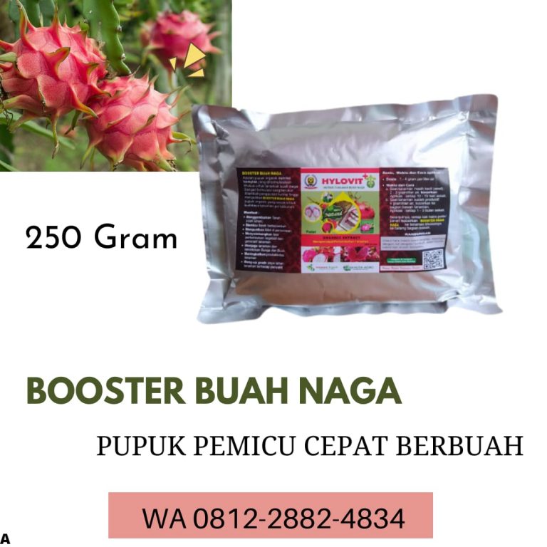 TERMURAH, 0812-2882-4834, Pabrik Pupuk Buah Naga Yang Baik Surabaya, Jual Pupuk Buah Naga Agar Cepat Berbuah Bangkalan, Agen Pupuk Buah Naga Agar Berbuah Lebat Banyuwangi