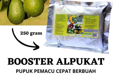 TERBAIK, 0812-2882-4834, Pusat Booster Pohon Alpukat Purwodadi, Toko Pupuk Booster Alpukat Jepara, Harga Pupuk Alpukat Agar Cepat Berbuah Karanganyar